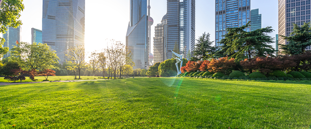 Untitled design – 2025-02-27T120840.485